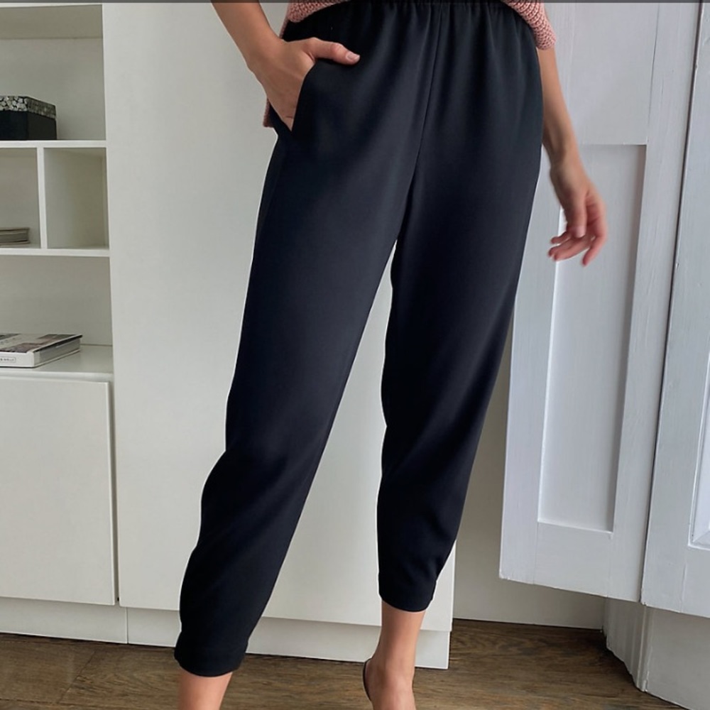 Aritzia Babaton Dexter Pants